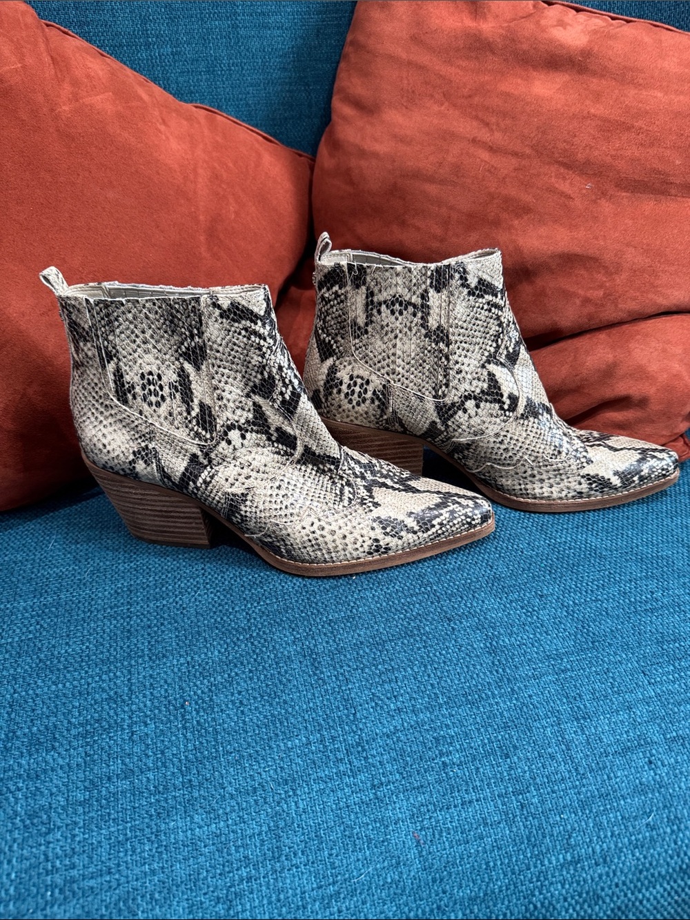 Sam Edelman leather upper Snake-Print Ankle Booties in Beige and Black